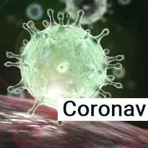 Meet your Posher, Johnny